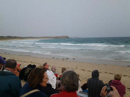 Fin utsikt, väntan på pingvinerna