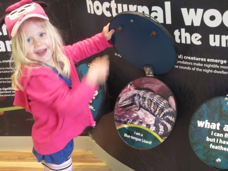 Kul utställni g på koalacentret