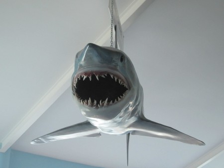 Haj som dem fångat utanför hamnen