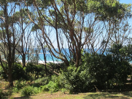 Pebbles beach i nationalparken