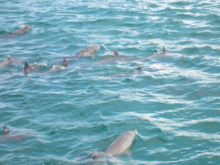 och massor fick vi se