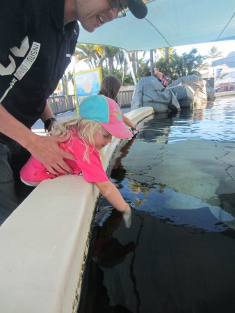 Bella klappar stingrockor