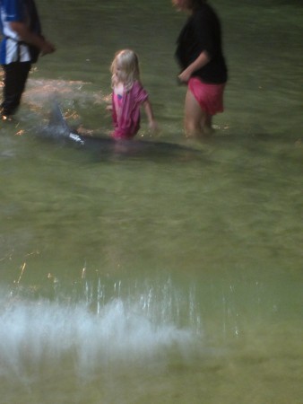 Närkontakt med delfi erna