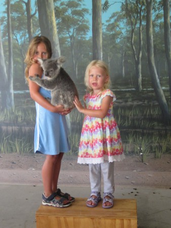 Fotosession med koala