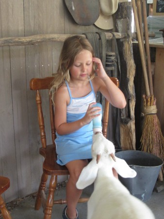 Linnea matar killing